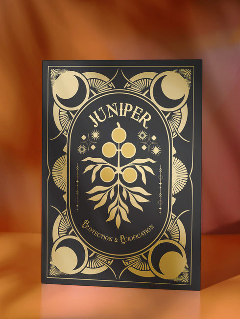 Juniper-themed holiday ritual card featuring a gold-stylized juniper branch with celestial accents on the front and an inside message detailing juniper's historical significance in magical practices, along with instructions for New Year's Eve and Full Moon rituals focused on protection and purification.